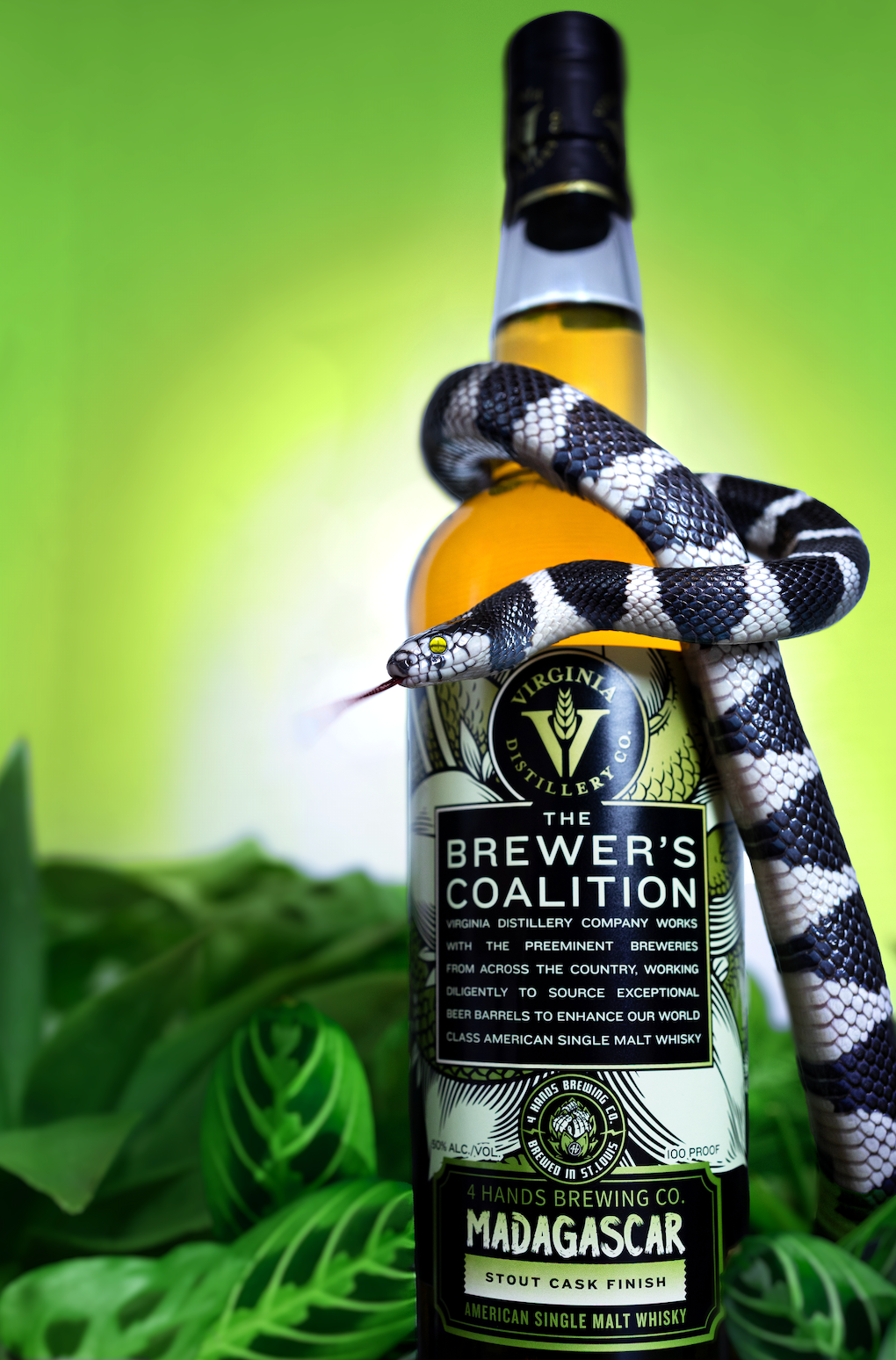 VDC 4 Hands Brewing Co. Madagascar Stout Cask Finish- Brewer's Coalition